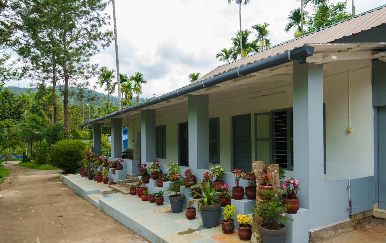 Apartament Mystic Trees, Kumily Thekkady Zewnętrze zdjęcie