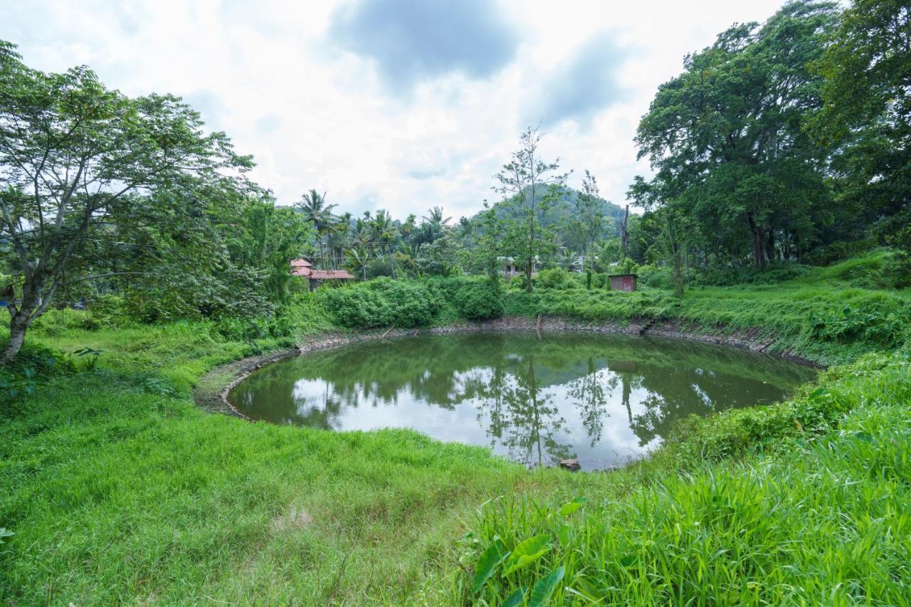 Apartament Mystic Trees, Kumily Thekkady Zewnętrze zdjęcie